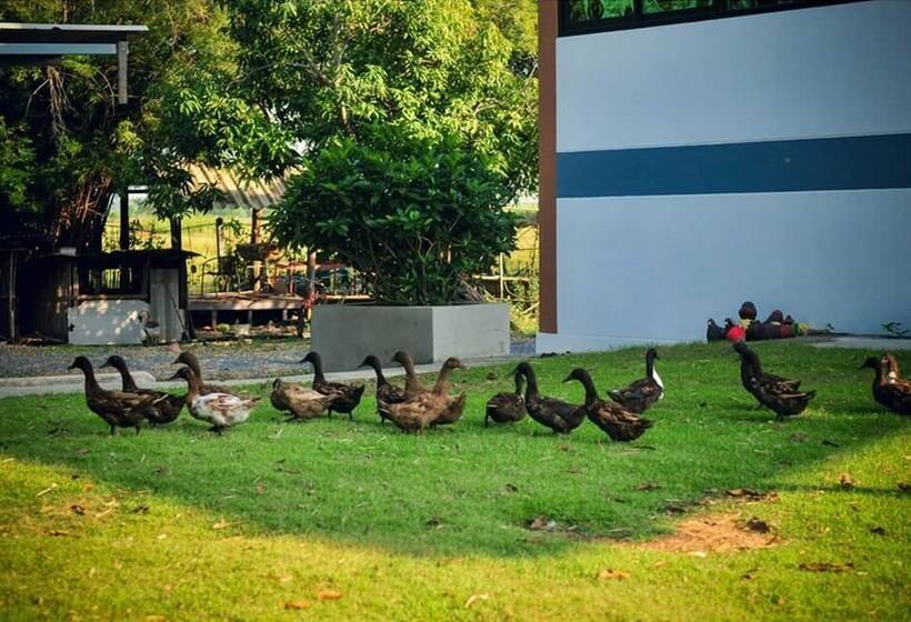 فندق Wanlapa Farmstay