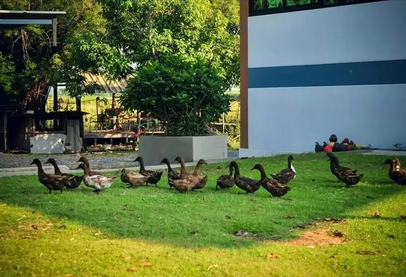 ホテル Wanlapa Farmstay