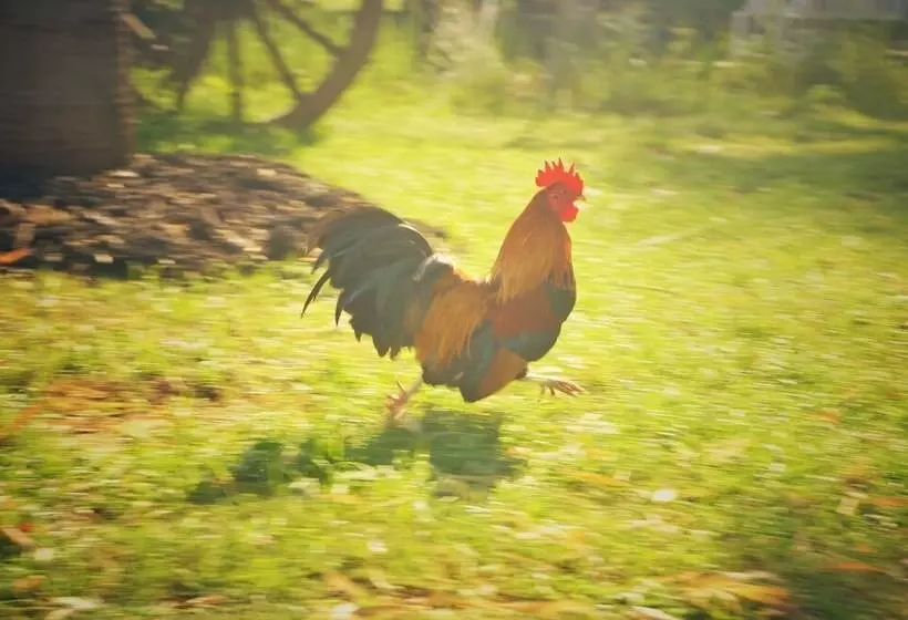 ホテル Wanlapa Farmstay