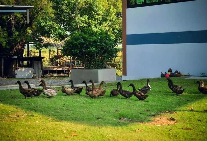 ホテル Wanlapa Farmstay