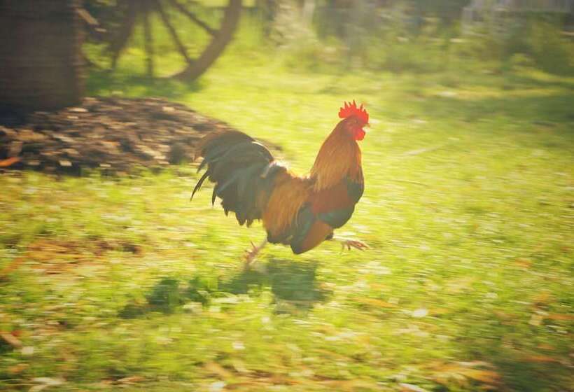 فندق Wanlapa Farmstay