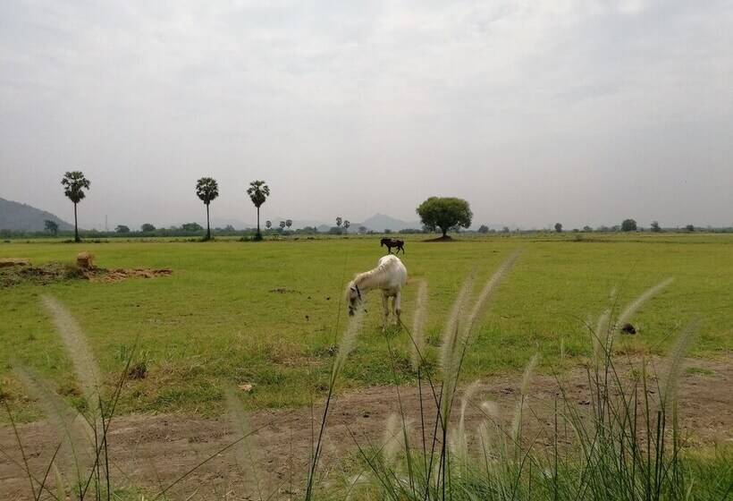 فندق Wanlapa Farmstay