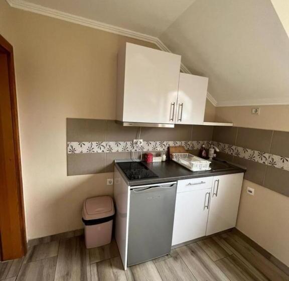 تختخواب و صبحانه Vila Boska Palic