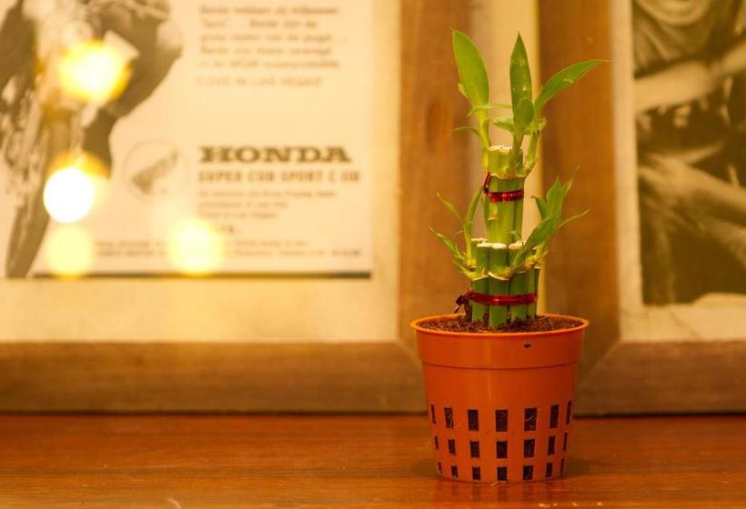 Luang Poj Boutique Hostel