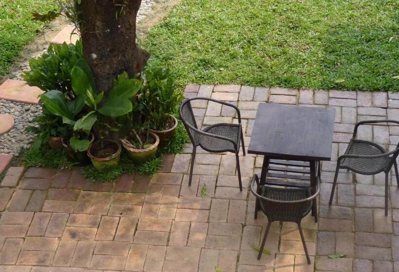 Bed and Breakfast Pak Ping Rim Khong