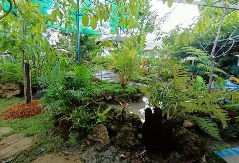 Курорт P.paradise