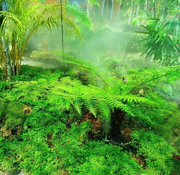 Курорт P.paradise