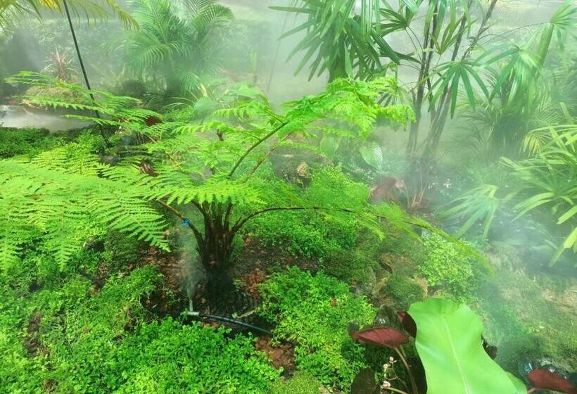 Курорт P.paradise