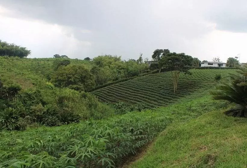Hotelli Finca La Colmena De Don Juaco