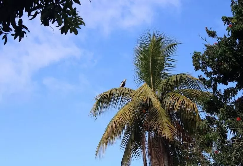 Hotelli Finca La Colmena De Don Juaco