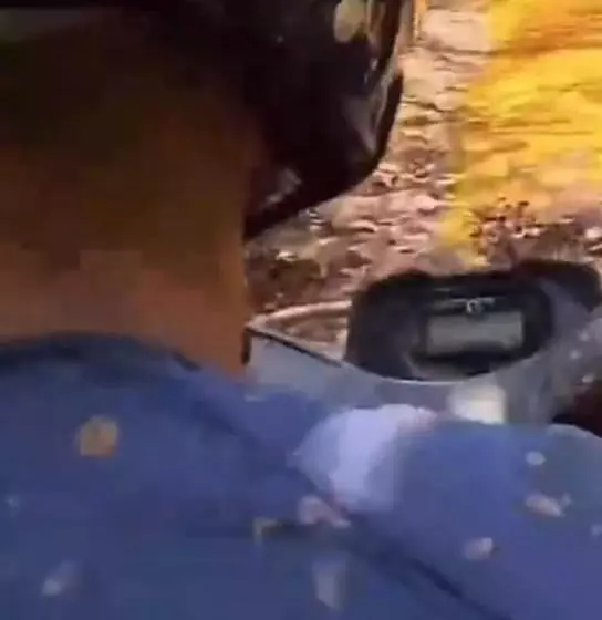 簡易ホテル Pousada Canto Da Lua   Macacos 01