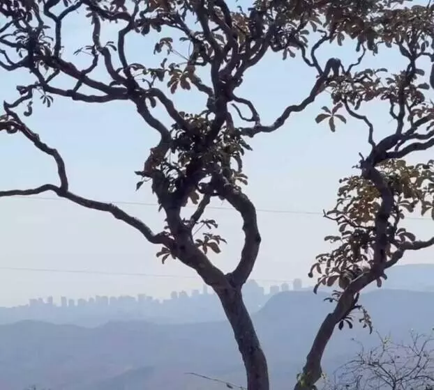 簡易ホテル Pousada Canto Da Lua   Macacos 01