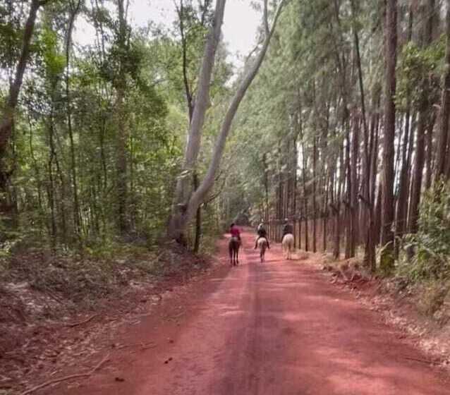 Pansiyon Pousada Canto Da Lua   Macacos 01