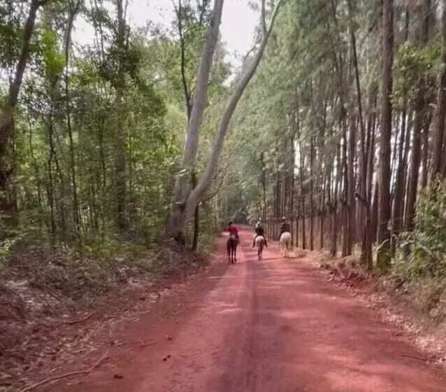 簡易ホテル Pousada Canto Da Lua   Macacos 01