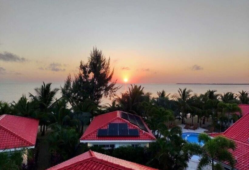 ホテル Ceiba Beach Resort