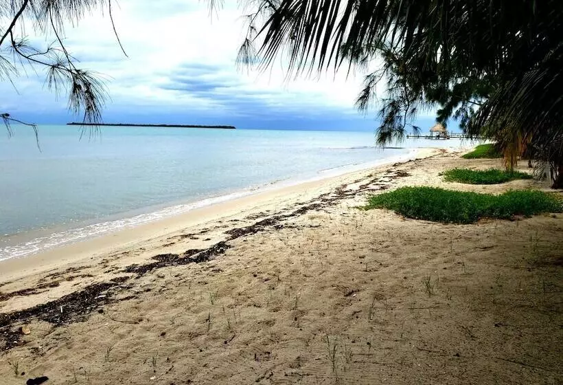 Hotelli Ceiba Beach Resort