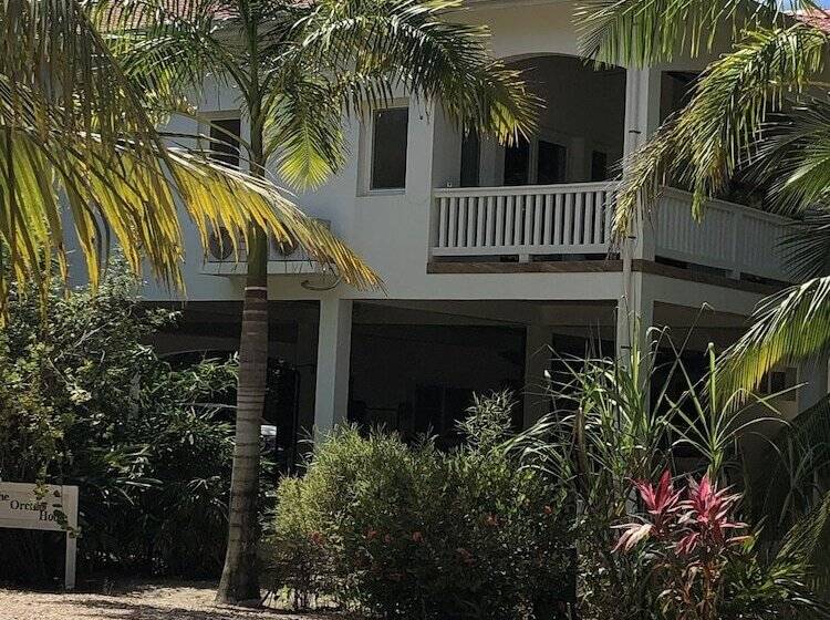 ホテル Ceiba Beach Resort