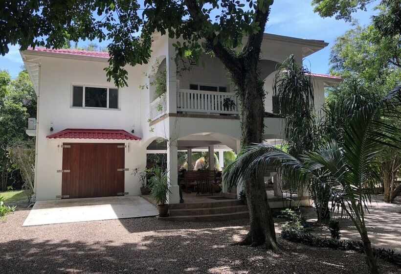 ホテル Ceiba Beach Resort