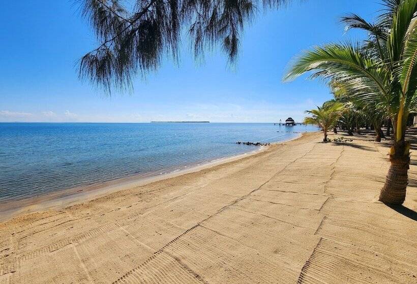 ホテル Ceiba Beach Resort