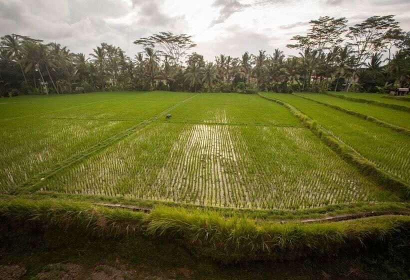 酒店 Dwaraloka Retreat Ubud