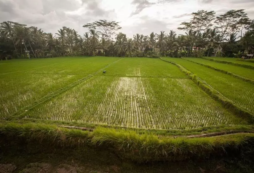 ホテル Dwaraloka Retreat Ubud
