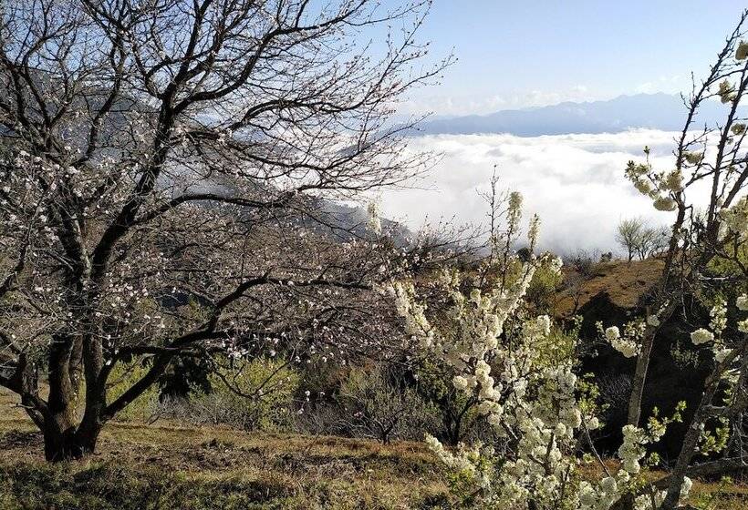 בית מלון כפרי In Apple Estate Kanatal