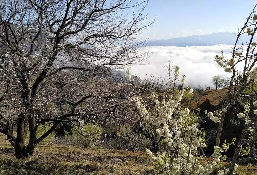 Hotelli In Apple Estate Kanatal