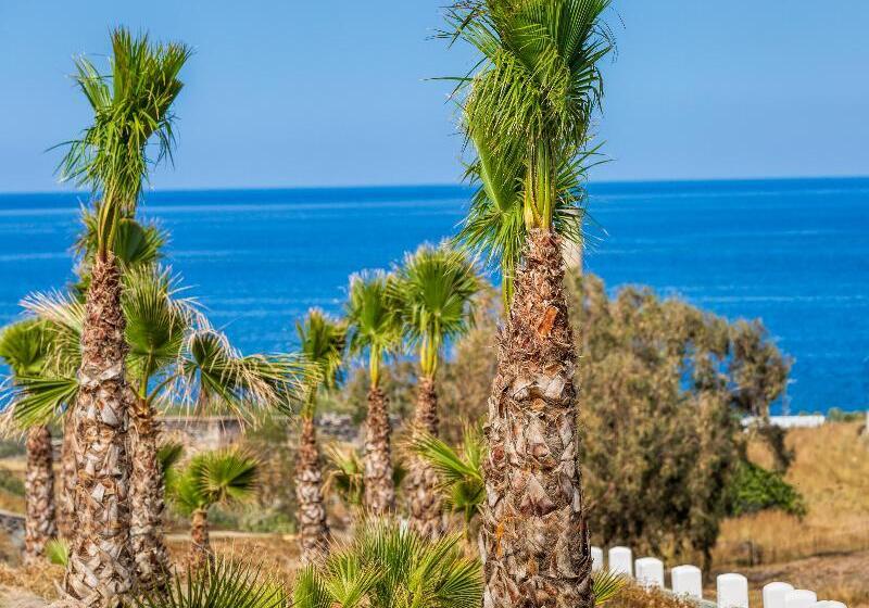 Desiterra Resort & Spa