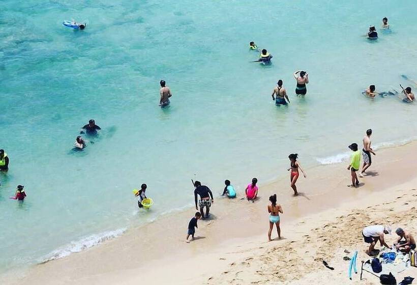 호텔 El Greco Beach