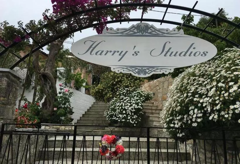 Harry S Studios