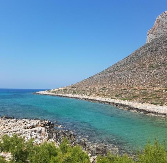 Отель Little Bay Apartments