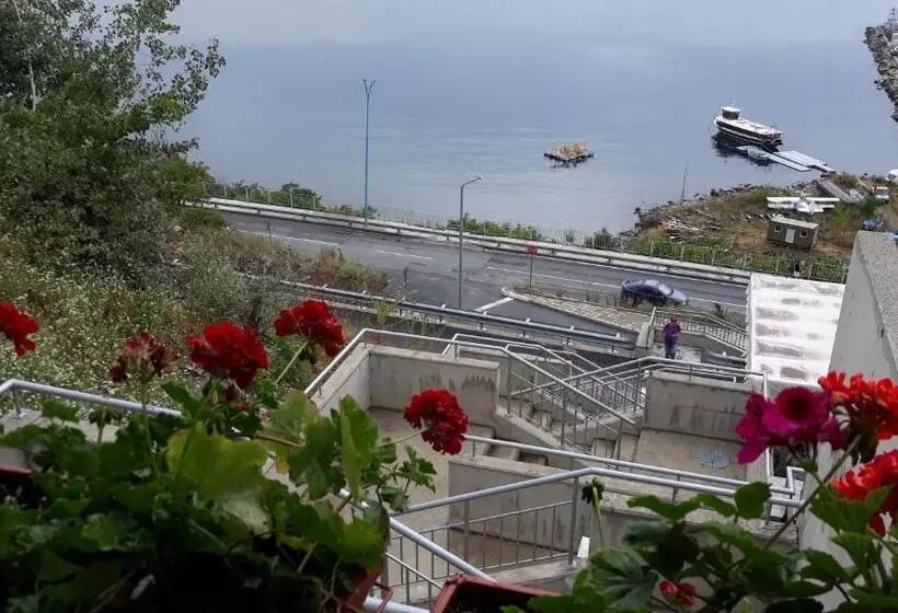 Hotelli Orion Guest House