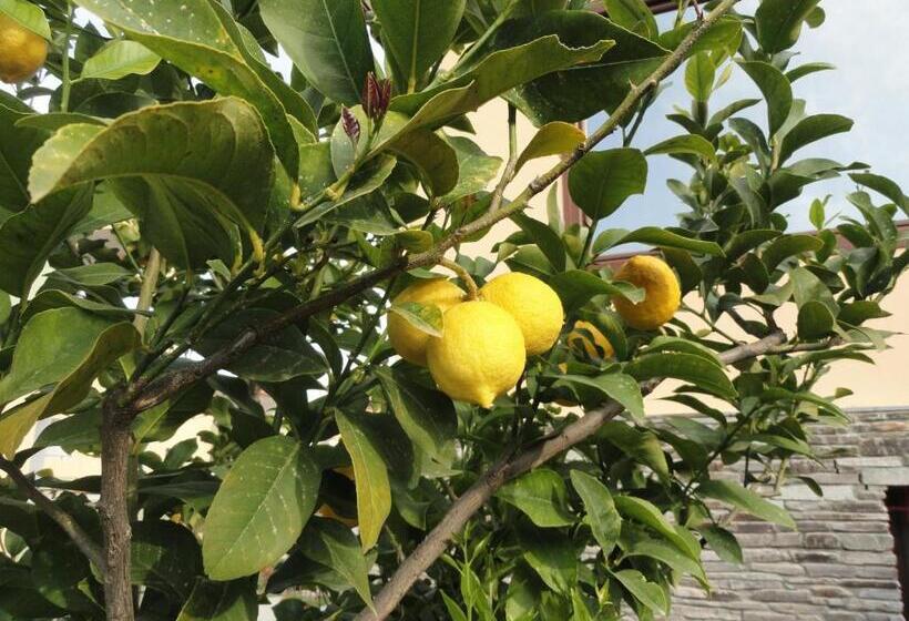 בית מלון כפרי Amari