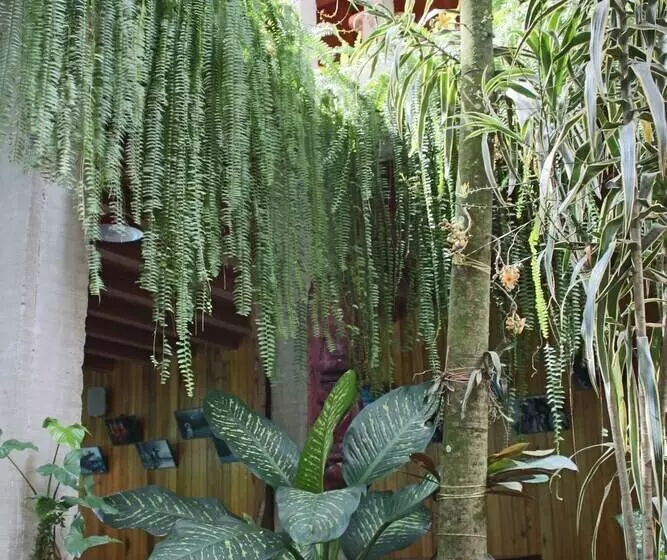 هتل La Casa Fitzcarraldo