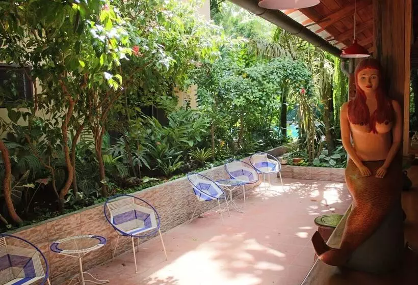 هتل La Casa Fitzcarraldo