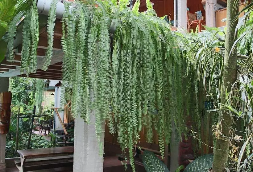 هتل La Casa Fitzcarraldo