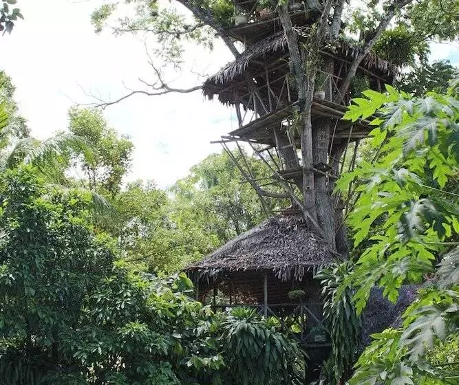 هتل La Casa Fitzcarraldo