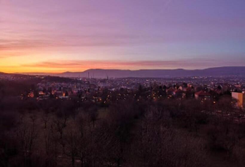 בית מלון כפרי Panorama