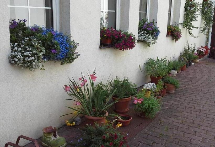 هتل Penzion A Vinoteka Hrozen