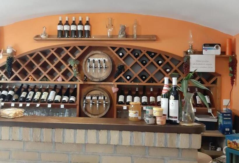 هتل Penzion A Vinoteka Hrozen