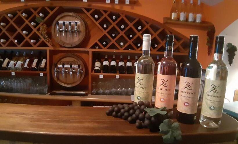 هتل Penzion A Vinoteka Hrozen