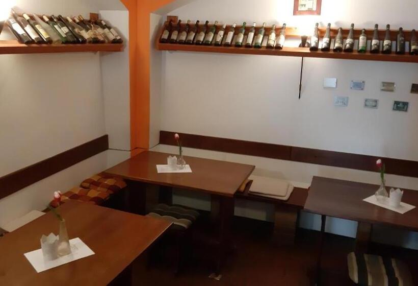 هتل Penzion A Vinoteka Hrozen
