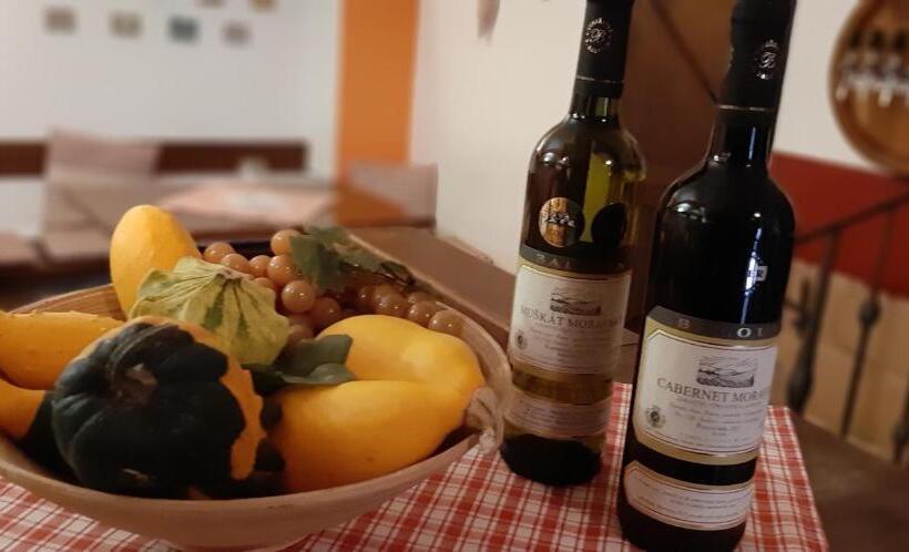 هتل Penzion A Vinoteka Hrozen