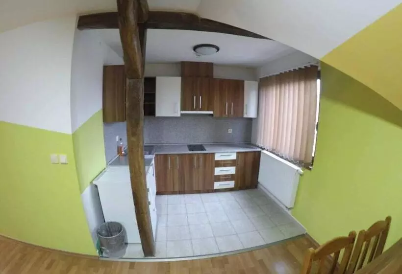 Hotelli Penzion U Holuba