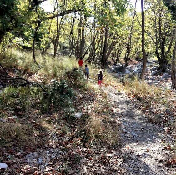 בית מלון כפרי To Palio Litohoro