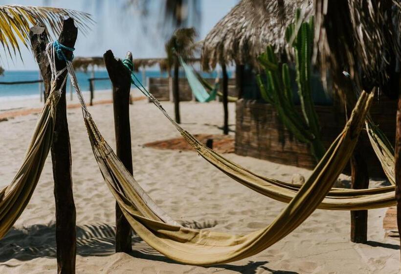 هتل Waltako Beach Culture