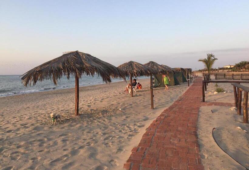 هتل Waltako Beach Culture