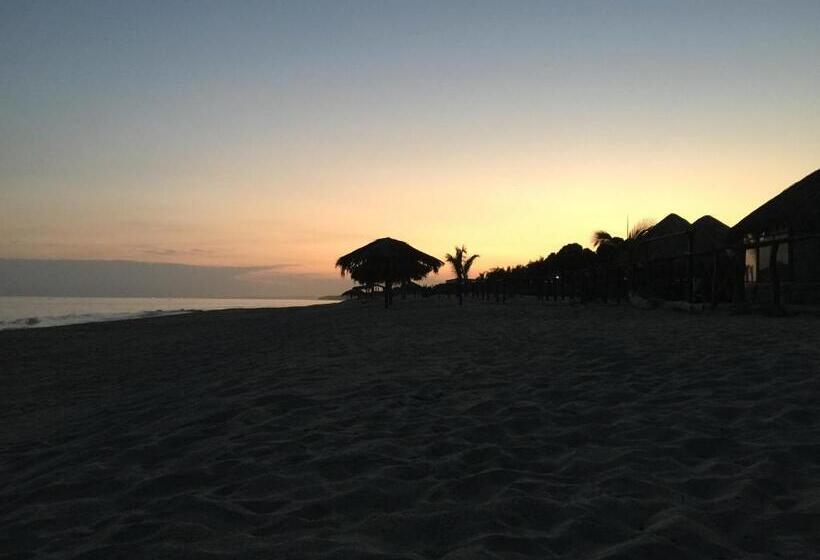 هتل Waltako Beach Culture