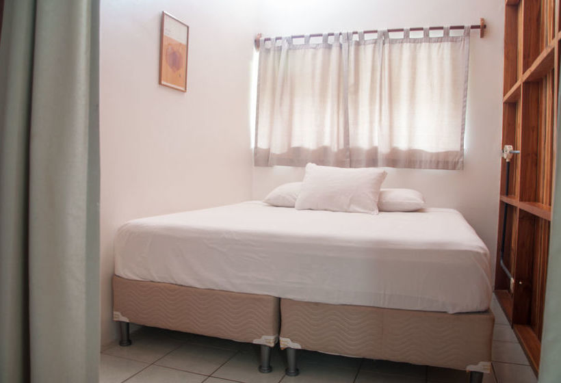 Maoritsio Garden Studios