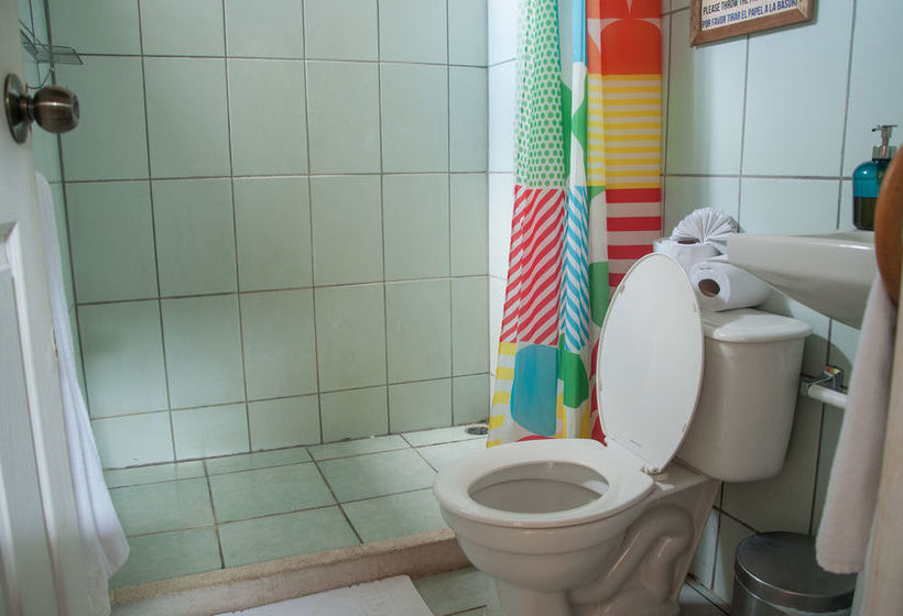 Maoritsio Garden Studios